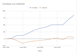 Vikingen Portfolio +85%