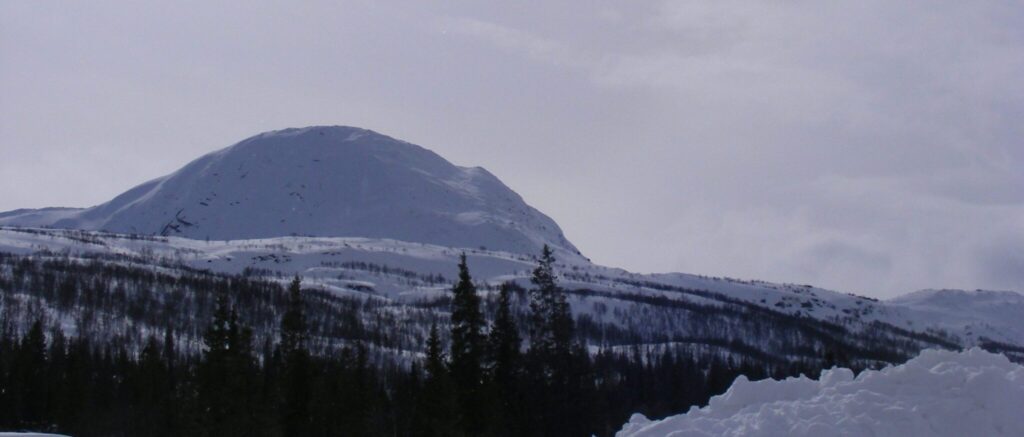 Bluelake Mineral är ett bolag fokuserat på prospektering och gruvutveckling i Norden inom basmetaller, främst koppar, zink och nickel. Bolagets huvudprojekt utgörs av koppar-zink-projekten Stekenjokk-Levi och Joma, samt nickelprojektet Rönnbäcken. Bolagets målsättning på medellång sikt är att sätta minst en gruva i drift eller sälja motsvarande tillgång till en industriell köpare före gruvstart till ett värde som innebär en substantiell värdeökning för aktieägarna. Utöver detta strävar bolaget att bygga en bred portfölj med förstklassiga projekt inom basmetaller varav flera har potential att leda till igångsättning av gruvverksamhet.