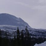 Bluelake Mineral är ett bolag fokuserat på prospektering och gruvutveckling i Norden inom basmetaller, främst koppar, zink och nickel. Bolagets huvudprojekt utgörs av koppar-zink-projekten Stekenjokk-Levi och Joma, samt nickelprojektet Rönnbäcken. Bolagets målsättning på medellång sikt är att sätta minst en gruva i drift eller sälja motsvarande tillgång till en industriell köpare före gruvstart till ett värde som innebär en substantiell värdeökning för aktieägarna. Utöver detta strävar bolaget att bygga en bred portfölj med förstklassiga projekt inom basmetaller varav flera har potential att leda till igångsättning av gruvverksamhet.
