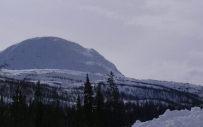 Bluelake Mineral är ett bolag fokuserat på prospektering och gruvutveckling i Norden inom basmetaller, främst koppar, zink och nickel. Bolagets huvudprojekt utgörs av koppar-zink-projekten Stekenjokk-Levi och Joma, samt nickelprojektet Rönnbäcken. Bolagets målsättning på medellång sikt är att sätta minst en gruva i drift eller sälja motsvarande tillgång till en industriell köpare före gruvstart till ett värde som innebär en substantiell värdeökning för aktieägarna. Utöver detta strävar bolaget att bygga en bred portfölj med förstklassiga projekt inom basmetaller varav flera har potential att leda till igångsättning av gruvverksamhet.