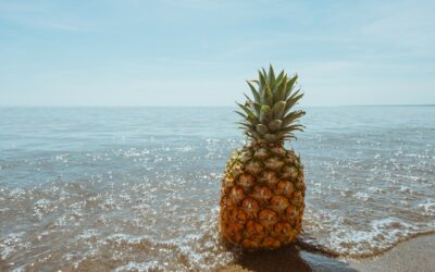 Thailändsk ananasskörd faller till lägsta nivå på ett decennium, vilket kan förklaras av en låg gödseltillförsel och dålig nederbörd. Efterfrågan på ananas i Asien och Europa är däremot fortsatt stark vilket kan komma att leda till högre priser.