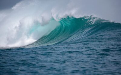 Elliott-vågmönster eller Elliott Wave Pattern- Vet du att dessa mönster kan hjälpa dig att förstå marknadens beteende? Ja! Det är helt sant! Men innan vi går in i mönster låter oss faktiskt förstå vad Elliott-vågsprincipen är: