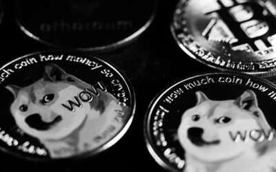 Sedan tillkomsten av Bitcoin, den första kryptovalutan någonsin, har kryptoindustrin kommit långt. Medan vissa kryptovalutor uppstod från källkoden för Bitcoin, har andra sina egna blockchain-nätverk med specifika användningsfall. Tusentals kryptovalutor som finns idag, förutom Bitcoin, kallas "Altcoins". Och en typ av altcoins som skapas baserat på populariteten för internetmemes är kända som "memecoins".