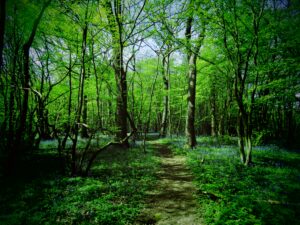 Warren Buffet, även känd som Oracle of Omaha, är en legendarisk investerare som diskar ut visdom för investeringsframgång på Wall Street. Warren Buffets årliga brev till aktieägarna i Berkshire Hathaway har blivit ett årligt brev till världen. En enkel sökning på nätet efter "Warren Buffets investeringsrådgivning kommer att ge massor av resultat som ger olika typer av råd för nya, mellanliggande och erfarna investerare.