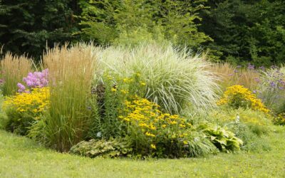 När det gäller investeringar, om du vill nå långsiktig framgång måste du diversifiera din portfölj. Portföljdiversifiering är processen att sprida dina investeringar över olika tillgångsklasser, såsom aktier, obligationer eller fastigheter, såväl som över olika sektorer eller marknadsvärden, för att minska risken och öka potentiell avkastning. När du diversifierar din portfölj skapar du en mer stabil och motståndskraftig investeringsstrategi som kan hantera marknadsfluktuationer, konjunktur- eller konjunkturförändringar eller andra potentiella risker.